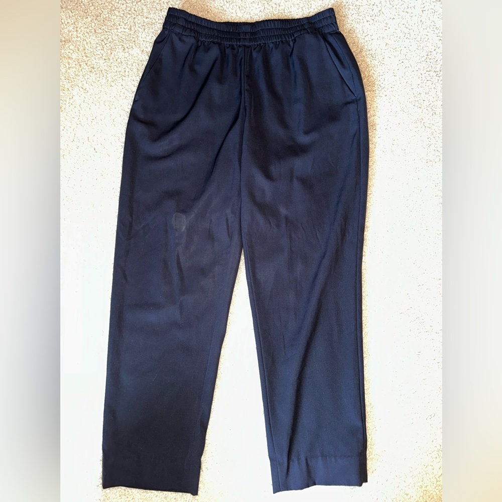 Everlane Navy Pants